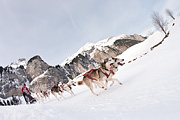 100124_1214_9728_5D