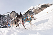 100124_1216_9731_5D