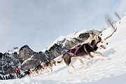 100124_1218_9736_5D
