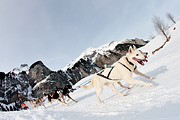 100124_1230_9746_5D