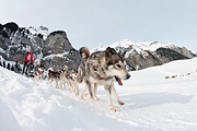 100124_1248_9757_5D
