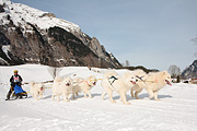 100124_1303_9786_5D