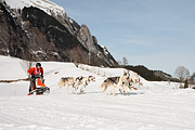 100124_1310_9800_5D