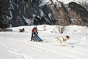 100124_1342_9874_5D