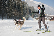 100213_1012_4662_1D