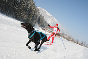 100213_1014_4671_1D