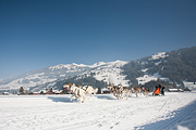 Lenk