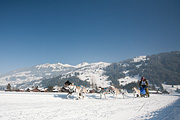 Lenk