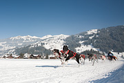 100213_1241_0315_5D
