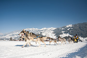 100213_1243_0321_5D