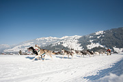 100213_1248_0326_5D