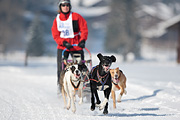 100213_1250_5497_1D