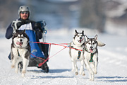 100213_1255_5528_1D