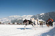 100213_1256_0337_5D