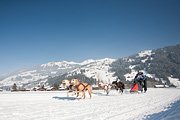 100213_1256_0340_5D