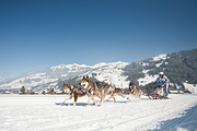 100213_1304_0360_5D