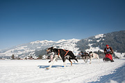 100213_1308_0362_5D