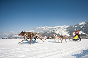 100213_1313_0372_5D