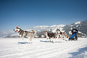100213_1315_0382_5D