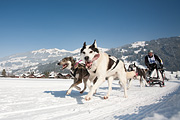 100213_1318_0385_5D