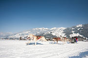 100213_1318_0388_5D