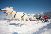100213_1322_0395_5D