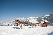 100213_1324_0398_5D