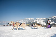 100213_1324_0411_5D
