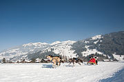 100213_1328_0421_5D