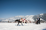 100213_1345_0451_5D
