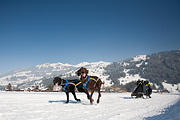 100213_1347_0460_5D