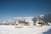 100213_1348_0463_5D