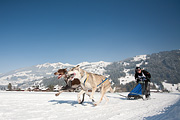 100213_1348_0467_5D