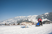 100213_1355_0473_5D