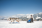 100213_1357_0482_5D