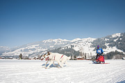 100213_1357_0487_5D