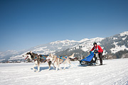 100213_1400_0492_5D