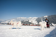 100213_1404_0501_5D