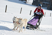 100213_1426_6198_1D