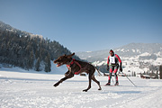 100214_1015_0533_5D