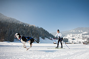 100214_1039_0594_5D