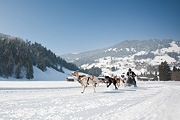 100214_1108_0602_5D