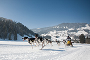 100214_1125_0635_5D