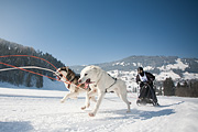 100214_1132_0651_5D
