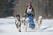 100214_1138_6885_1D