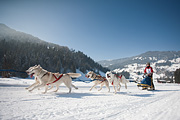 100214_1152_0681_5D