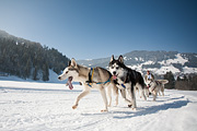 100214_1153_0683_5D