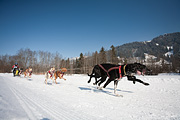 100214_1207_0689_5D