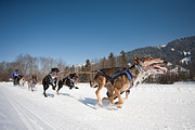 100214_1209_0693_5D
