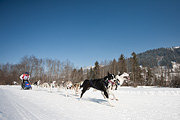 100214_1213_0696_5D